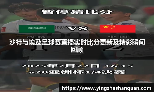 沙特与埃及足球赛直播实时比分更新及精彩瞬间回顾